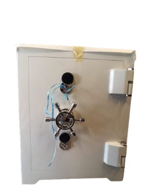 Çarklı Dolgulu Ev Tipi Kasa - 1